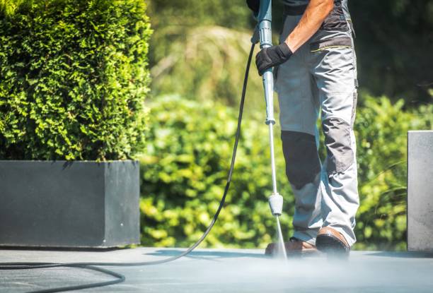 Best Driveway Pressure Washing  in South Fallsburg, NY